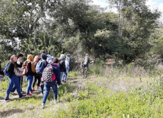 Brindaron charlas sobre educación ambiental