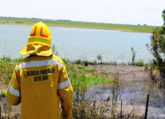 Entre Ríos cedió lotes para combatir los incendios