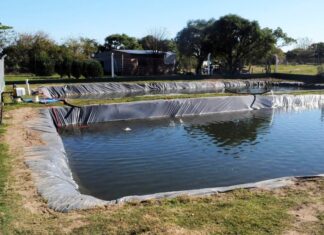 Impulsan la acuicultura como producción alternativa