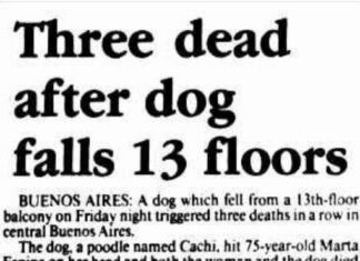 Cayó un caniche desde un piso 13 y murieron tres personas: A 32 años del insólito accidente