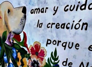 Basavilbaso. Murales por la tenencia responsable de perros
