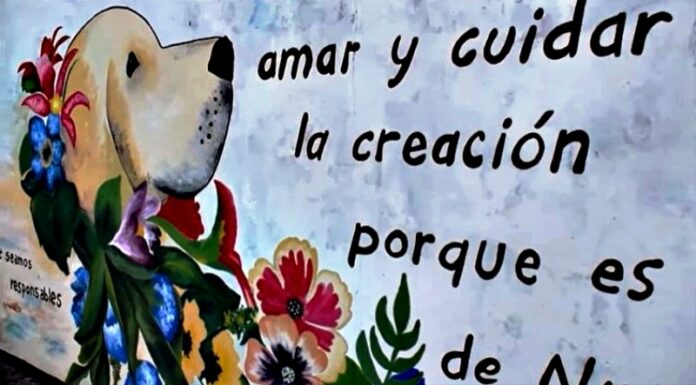 PÁGINA 5 MURALES