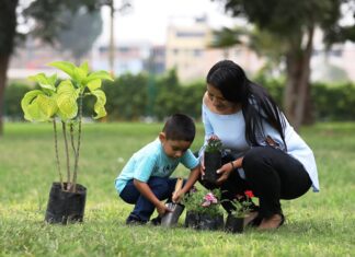 Actividades por el mes de la Madre