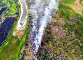 Detectan nuevos focos de incendios en el Delta