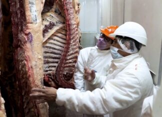 Carne: mantienen precios de cortes
