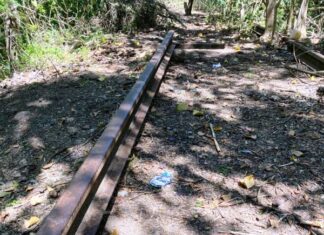 Vecinos denunciaron el robo de vías y durmientes