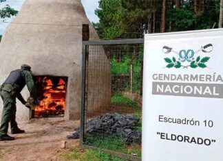 Quemaron más de 6 toneladas de droga