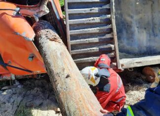 Chocó un camión y un rollizo atravesó la cabina