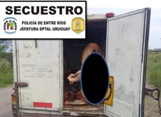 Llevaban costillares vacunos y arma sin documentación