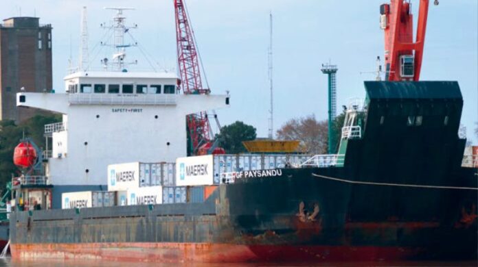 p2 portacontenedores1