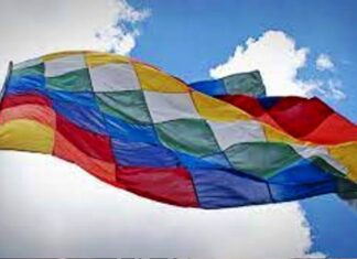 Fue conmemorado el respeto por la diversidad