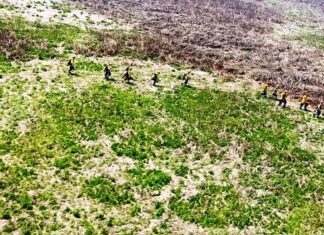Continúa el combate de incendios en el Delta
