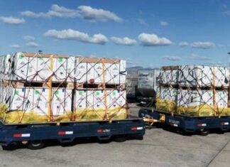 Llegó un cargamento con más de 776 mil dosis de Pfizer