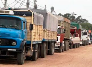 Diputados avanzó sobre el control de peso al transporte