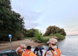 Prefectura realizó controles marítimos