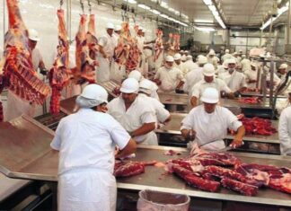 Precisan el impacto de la reapertura en la exportación