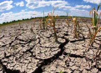 Preocupación por la falta de lluvias en gran parte del territorio provincial