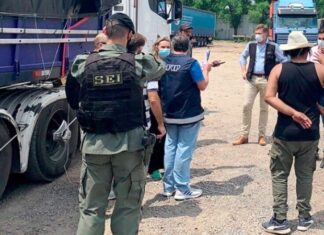Decomisan más de 8.100 toneladas de maíz