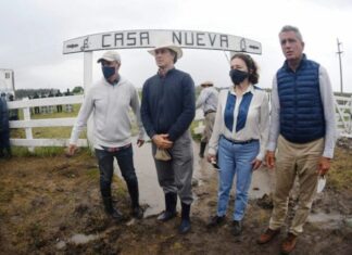 Investigan maniobras ganaderas de Etchevehere