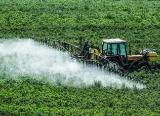 Entre Ríos es la provincia con mayor impacto por agrotóxicos
