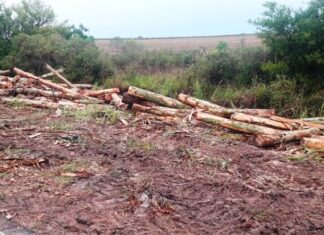 Un camión desparramó toda su carga