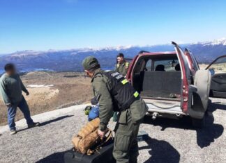 Intentaban ingresar al país con armas