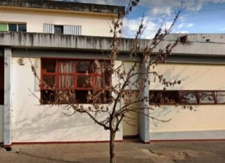 Un pitbull atacó a una nena en la puerta de la escuela