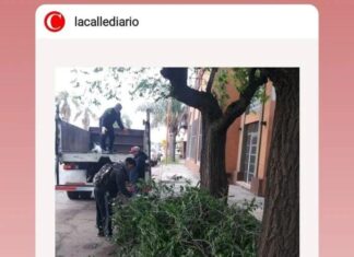Instagram actualizó opciones para links y estados