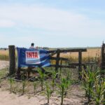 WhatsApp Image 2021-11-26 at 11.43.29