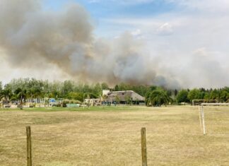 Preocupación por incendio cerca de las Termas