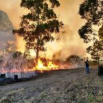 PÁGINA 8 INCENDIOS