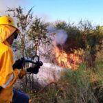 Pagina 19 19 de diciembre 2021 Bomberos apagaron dos incendios forestales