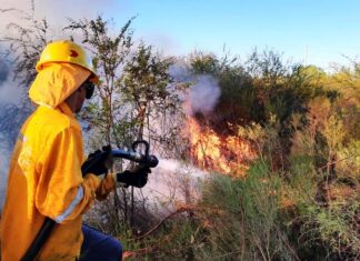 Bomberos apagaron dos incendios forestales