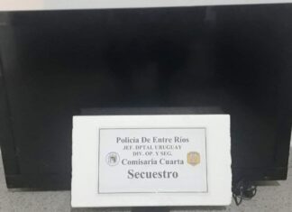 Detuvieron a un posible ladrón .