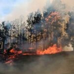 Pagina 6 24 de diciembre 2021 Incendio de grandes dimensiones