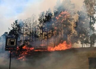 Bomberos combatieron incendio