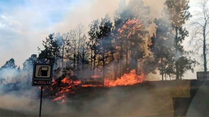 Pagina 6 24 de diciembre 2021 Incendio de grandes dimensiones