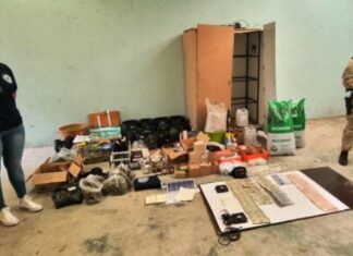 La detuvieron por cultivo de cannabis medicinal