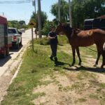 WhatsApp Image 2021-12-02 at 11.54.16