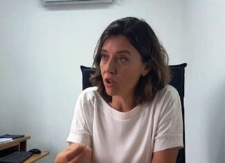 Suspendieron a la fiscal Cecilia Goyeneche