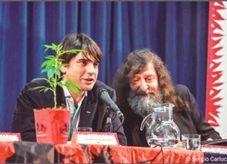 Entrevista a Andrés Bacigalupo, abogado penalista “La inscripción en los registros ha logrado disminuir la persecución a los cultivadores”