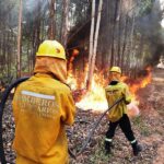 p1 incendios3