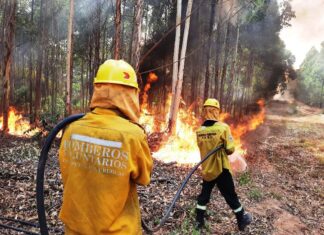 Los incendios forestales no dan tregua a los bomberos