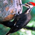 p10 – calles con historia