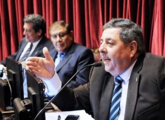De Angeli vicepresidente de la bancada del PRO
