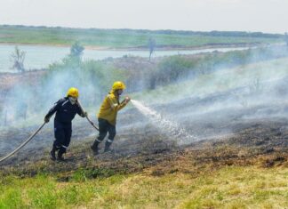 Combaten focos de incendios en el Delta