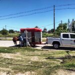 p3 rescate de caballos2