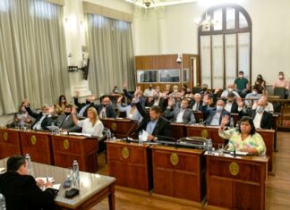 El Senado sancionó un total de 84 leyes
