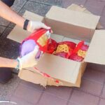 p7 – Ocultaban marihuana dentro de paquetes de pan dulce