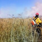 p8 Incendios